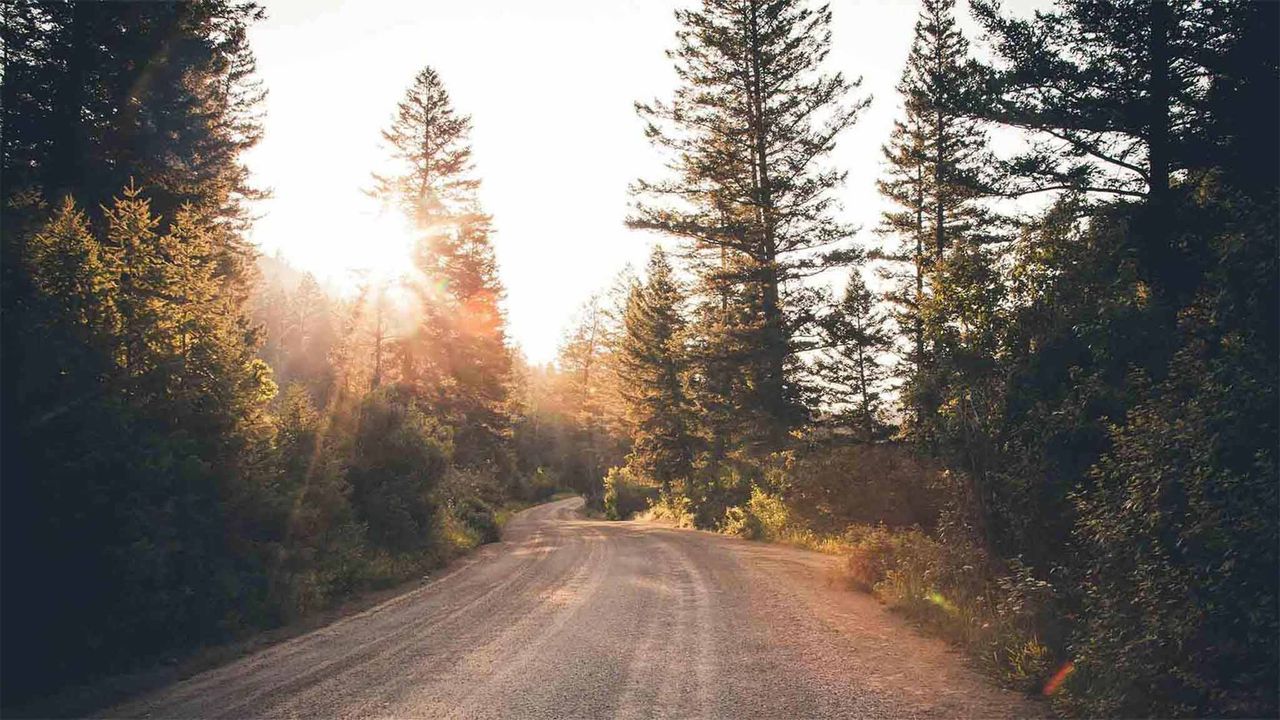 Un chemin de terre qui traverse les bois témoigne de la main de Dieu dans la nature
